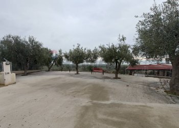 Terrazza - Villa Via San Pasquale, Monte Sant'Angelo - foto 80