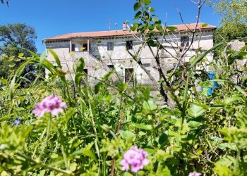 Casa all\'aperto - Rustico Polverigi - foto 3