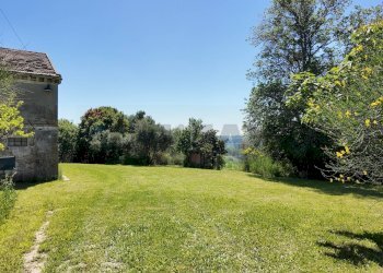 Giardino - Rustico Polverigi - foto 4