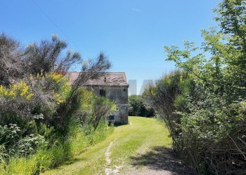 Giardino - Rustico Polverigi - foto 6