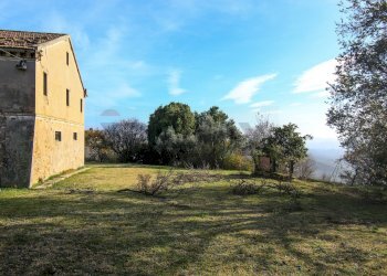 Giardino - Rustico Polverigi - foto 15