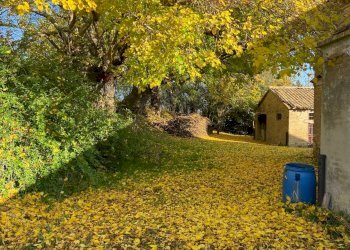 Giardino - Rustico Polverigi - foto 48