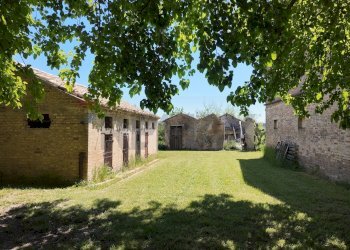 Giardino - Rustico Polverigi - foto 49