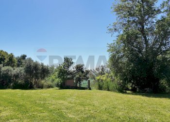 Giardino - Rustico Polverigi - foto 51