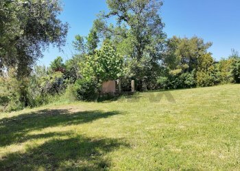 Giardino - Rustico Polverigi - foto 54