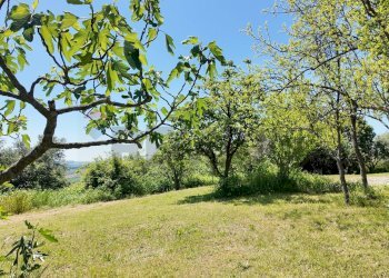 Giardino - Rustico Polverigi - foto 60