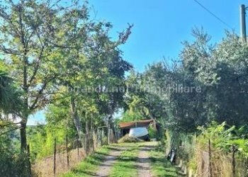 Foto 1 - Casa indipendente C.da Colleformica, Penne - foto 1