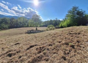 Foto 14 - Casa indipendente C.da Colleformica, Penne - foto 14