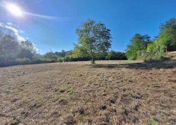 Foto 15 - Casa indipendente C.da Colleformica, Penne - foto 15