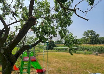 Giardino - Casa semi indipendente Frazione Sant'Andrea
 
89, Busseto - foto 8