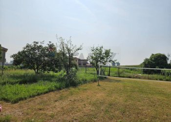 Giardino - Casa semi indipendente Frazione Sant'Andrea
 
89, Busseto - foto 9