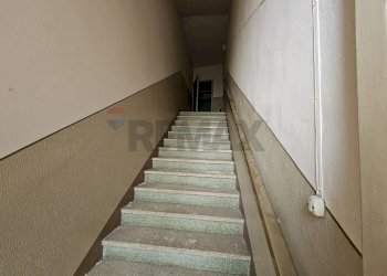 Scale - Casa semi indipendente Frazione Sant'Andrea
 
89, Busseto - foto 33