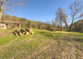 Foto 34 - Rustico Strada Villanova, Castagneto Po - foto 34