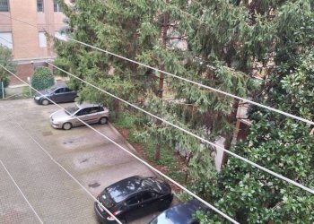 Foto 27 - Trilocale Via Trilussa
 
3, Bologna - foto 27