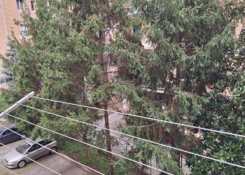 Foto 29 - Trilocale Via Trilussa
 
3, Bologna - foto 29