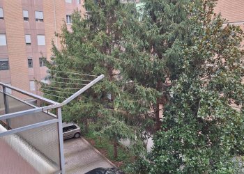 Foto 30 - Trilocale Via Trilussa
 
3, Bologna - foto 30