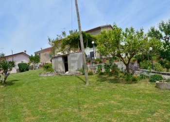 Giardino - Casa indipendente San Marco dei Cavoti - foto 5