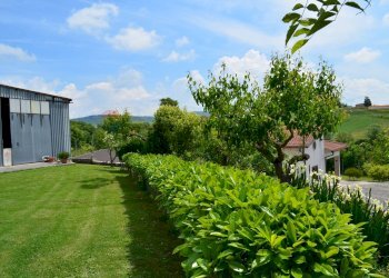 Giardino - Casa indipendente San Marco dei Cavoti - foto 6