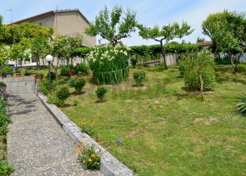 Giardino - Casa indipendente San Marco dei Cavoti - foto 7