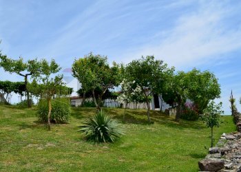 Giardino - Casa indipendente San Marco dei Cavoti - foto 8