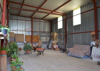 Terrazza - Casa indipendente San Marco dei Cavoti - foto 32