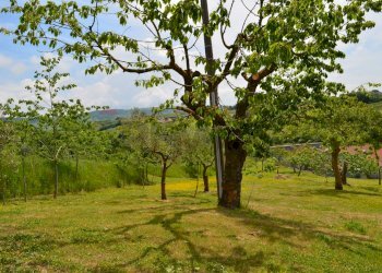 Giardino - Casa indipendente San Marco dei Cavoti - foto 38