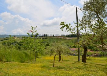 Giardino - Casa indipendente San Marco dei Cavoti - foto 40