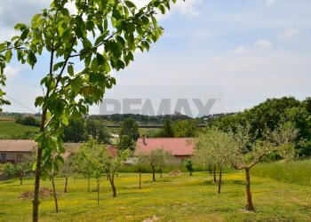Giardino - Casa indipendente San Marco dei Cavoti - foto 41