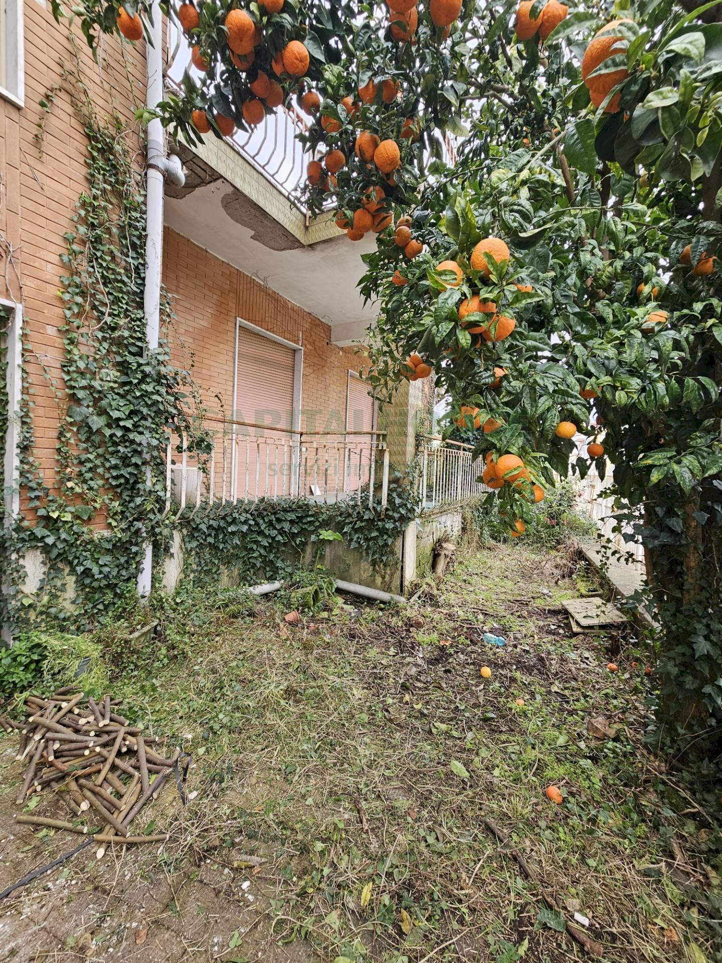 Foto 1 - Villa via principe di napoli, Pignataro Maggiore - photo 1