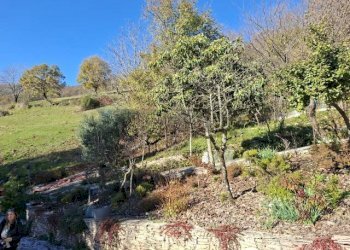 Giardino - Casa indipendente via caldoie
 
18, Cavaso del Tomba - foto 6