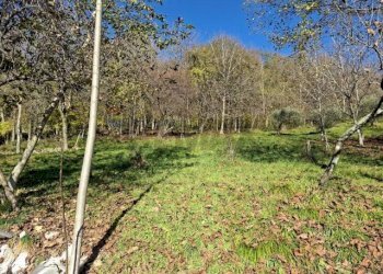 Giardino - Casa indipendente via caldoie
 
18, Cavaso del Tomba - foto 7