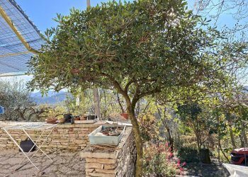 Giardino - Casa indipendente via caldoie
 
18, Cavaso del Tomba - foto 20