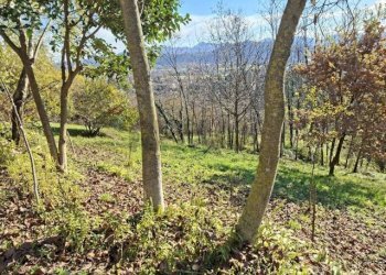 Giardino - Casa indipendente via caldoie
 
18, Cavaso del Tomba - foto 28