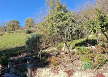 Giardino - Casa indipendente via caldoie
 
18, Cavaso del Tomba - foto 29