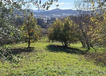 Giardino - Casa indipendente via caldoie
 
18, Cavaso del Tomba - foto 43