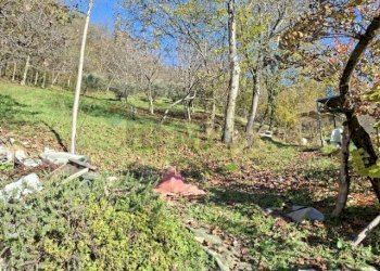 Giardino - Casa indipendente via caldoie
 
18, Cavaso del Tomba - foto 44