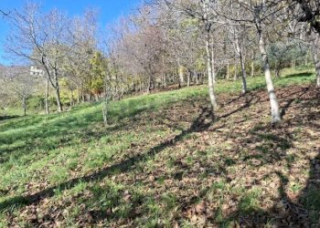 Giardino - Casa indipendente via caldoie
 
18, Cavaso del Tomba - foto 47