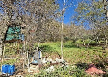 Giardino - Casa indipendente via caldoie
 
18, Cavaso del Tomba - foto 48