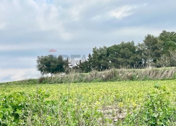 Giardino - Rustico Contrada Perrera, Ragusa - foto 30