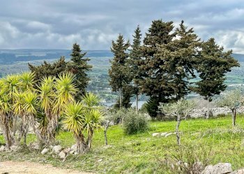 Giardino - Rustico Contrada Perrera, Ragusa - foto 31