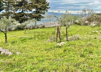 Giardino - Rustico Contrada Perrera, Ragusa - foto 32