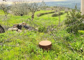 Giardino - Rustico Contrada Perrera, Ragusa - foto 39
