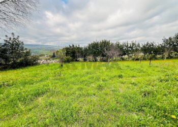 Giardino - Rustico Contrada Perrera, Ragusa - foto 43