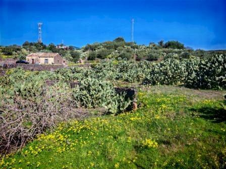 Foto 3 - Terreno agricolo Santa Maria di Licodia - foto 3