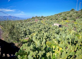 Foto 1 - Terreno agricolo Santa Maria di Licodia - foto 1