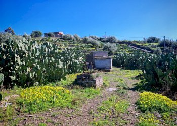 Foto 4 - Terreno agricolo Santa Maria di Licodia - foto 4