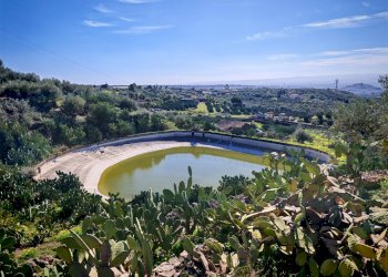 Foto 7 - Terreno agricolo Santa Maria di Licodia - foto 7