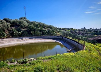 Foto 9 - Terreno agricolo Santa Maria di Licodia - foto 9