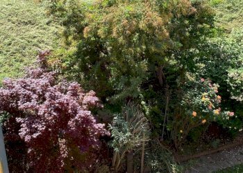 Foto 33 - Appartamento Via lame
 
372, Castel Maggiore - foto 33