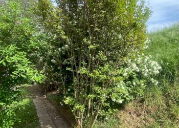 Foto 34 - Appartamento Via lame
 
372, Castel Maggiore - foto 34